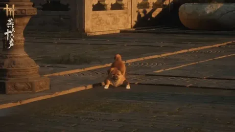 大乐透期号专家推荐：质合分析前区十码，主队能否抗住客场龙挑战