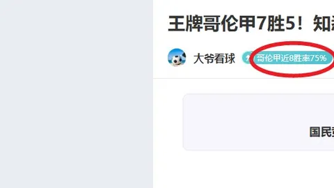 袁悦布林科娃携手战胜种子选手